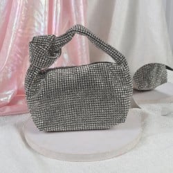 Women Silver Evening Bag