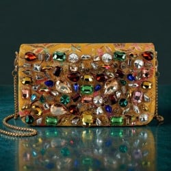 Women Orange Evening Bag