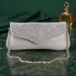 Women Silver Evening Bag